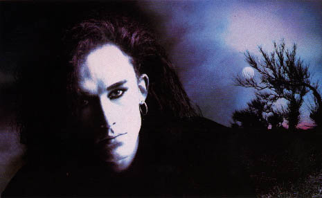 Dead Or Alive
